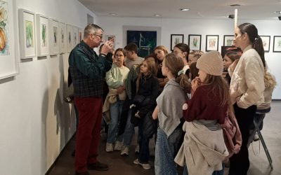 Was ist der Unterschied zwischen Galerie und Museum?